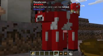 Hungry Cows screenshot