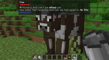 Hungry Cows screenshot