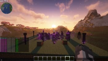 Enderman Grief Control screenshot