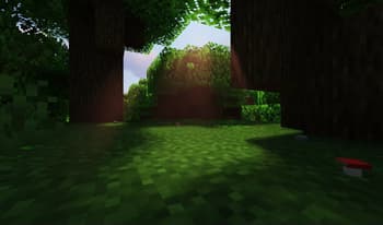 Undergrowth screenshot