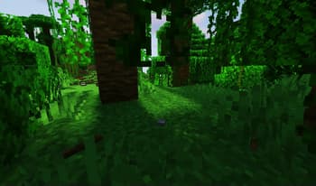 Undergrowth screenshot