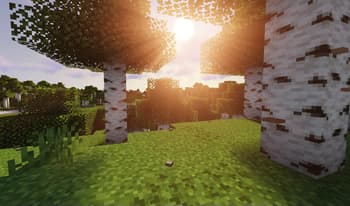 Undergrowth screenshot