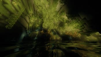 VIP screenshot