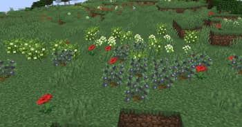 Pure Berries screenshot
