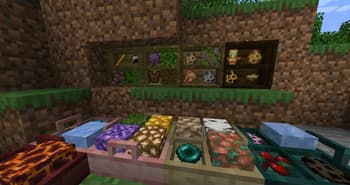Shelves screenshot