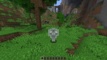 Bedrock Skins screenshot