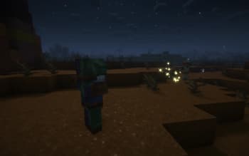 Supplemental Patches screenshot