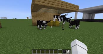 Horse Upgrades screenshot