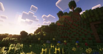 Resource PRANK screenshot