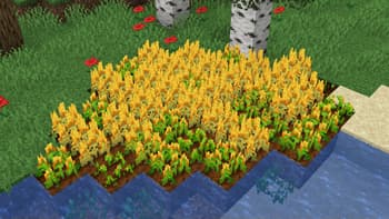 Misc Additions screenshot