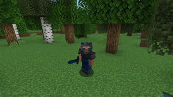 Misc Additions screenshot
