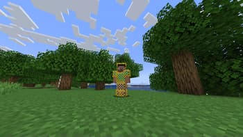 Misc Additions screenshot