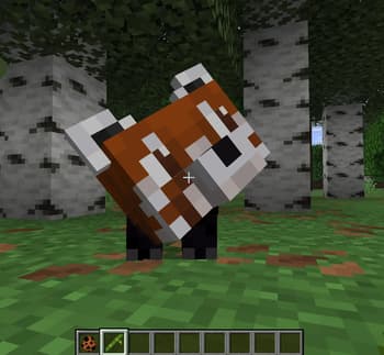 Animal Garden - Red Panda screenshot
