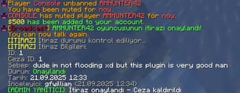 Punish System screenshot