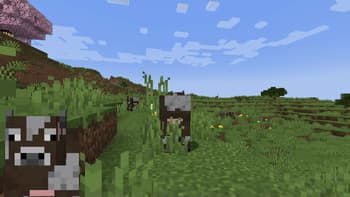 ExtraPlayerRenderer (Paper Doll) screenshot