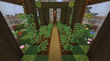 Legume Delight screenshot