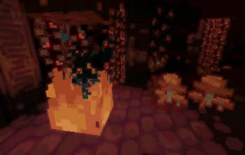 Wither Rose screenshot