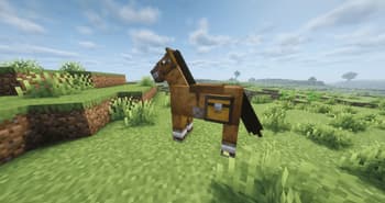 Simple Horse QOL screenshot