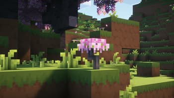 Simplified Flora screenshot