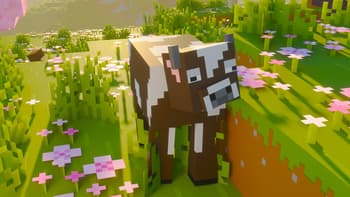 Bare Bones PBR x Fresh Animations screenshot
