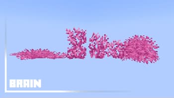 Corality screenshot