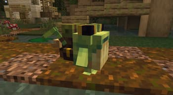 Ribbits screenshot