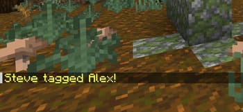 Tag Game screenshot