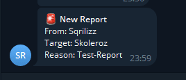Sqrilizz's Reports screenshot