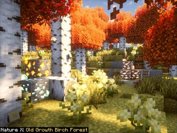 Nature X screenshot