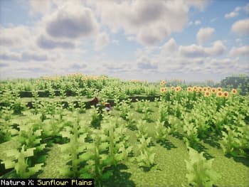 Nature X screenshot