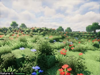 Nature X screenshot