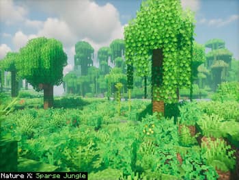 Nature X screenshot