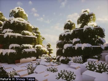 Nature X screenshot