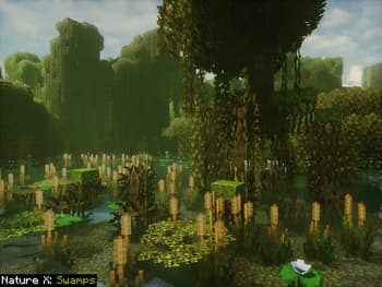 Nature X screenshot