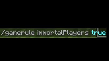 Immortality Mod screenshot