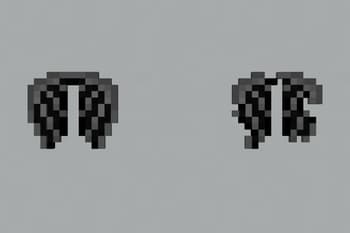 Elytra (Ender Dragon) screenshot