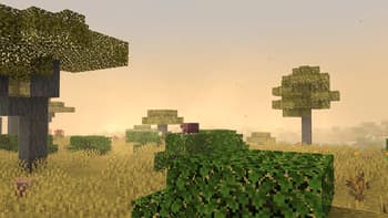 Cozy Visuals screenshot