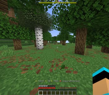 BetterVanilla SMP screenshot