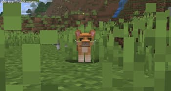 Refined Cats: Lithe screenshot