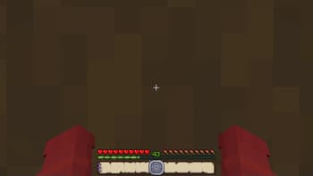 Voice of time GUI screenshot