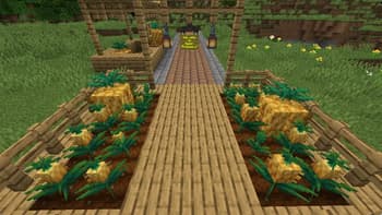 Pineapple Delight screenshot