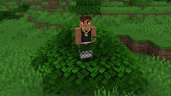 Passable Leaves screenshot