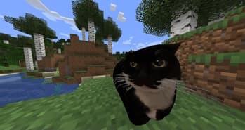 Maxwell the placeable cat screenshot