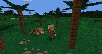 TFC Textile screenshot