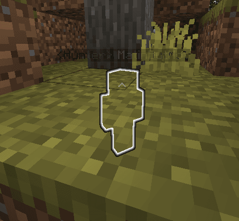 NotHunt - No Compass Manhunt! screenshot