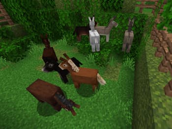 Donkey and Mule Color Variants screenshot