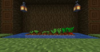 Plump Plants screenshot
