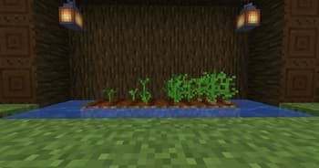 Plump Plants screenshot