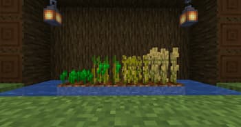 Plump Plants screenshot