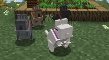 Vanilla Degus screenshot